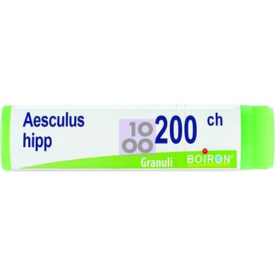 Aesculus Hippocastanum 200 Ch Globuli