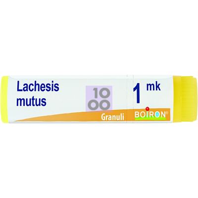 Lachesis Mutus Mk Globuli